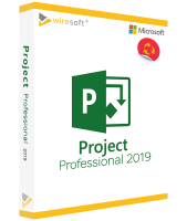 MICROSOFT PROJECT 2019 PROFESSIONAL MICROSOFT PROJECT 2019 PROFESSIONAL