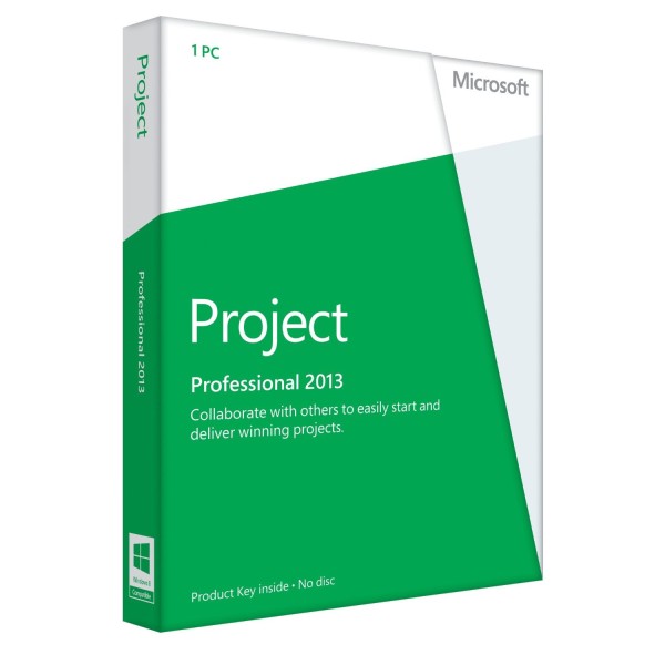 MICROSOFT PROJECT 2013 PROFESSIONAL