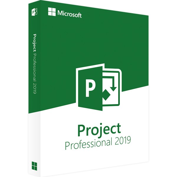 MICROSOFT PROJECT 2019 PROFESSIONAL